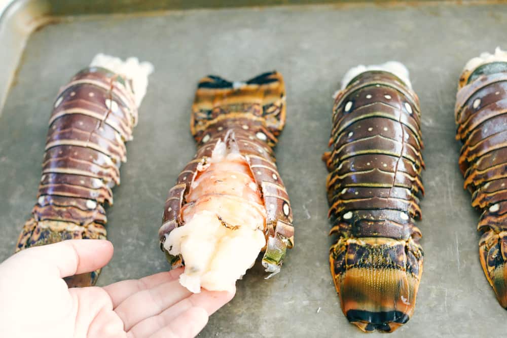 Lobster tail ( Caribbean)